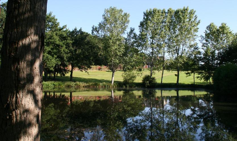 Domaine De Vilotte Ardenais Ngoại thất bức ảnh